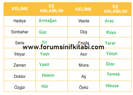 3.Sınıf Türkçe Meb yayınları Çalışma Kitabı Sayfa 17 Cevapları