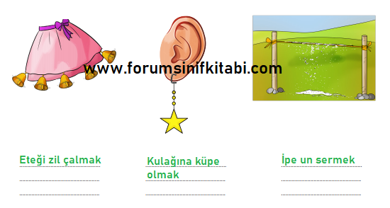 4.Sınıf Türkçe Meb yayınları Çalışma Kitabı Sayfa 43 Cevapları