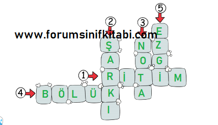 4.Sınıf Türkçe Meb yayınları Çalışma Kitabı Sayfa 50 Cevapları