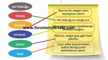 4.Sınıf Fen Bilimleri Meb yayınları Çalışma Kitabı Sayfa 15 Cevapları