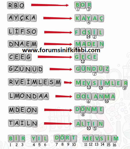 4.Sınıf Fen Bilimleri Meb yayınları Çalışma Kitabı Sayfa 20 Cevapları