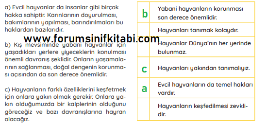 4.Sınıf Türkçe Meb yayınları Çalışma Kitabı Sayfa 109 Cevapları