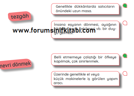 4.Sınıf Türkçe Meb yayınları Çalışma Kitabı Sayfa 116 Cevapları