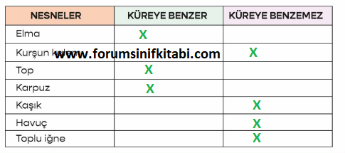 3.Sınıf Fen Bilimleri Meb yayınları Çalışma Kitabı Sayfa 10 Cevapları