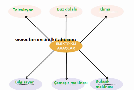 3.Sınıf Fen Bilimleri Meb yayınları Çalışma Kitabı Sayfa 116 Cevapları