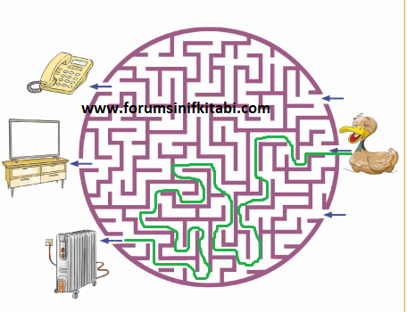 3.Sınıf Fen Bilimleri Meb yayınları Çalışma Kitabı Sayfa 119 Cevapları