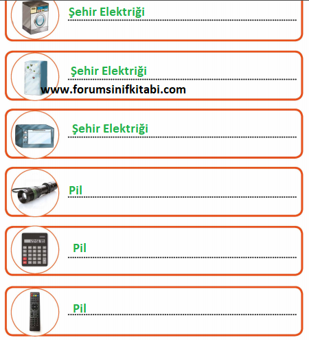 3.Sınıf Fen Bilimleri Meb yayınları Çalışma Kitabı Sayfa 123 Cevapları