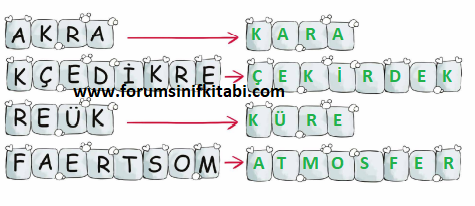 3.Sınıf Fen Bilimleri Meb yayınları Çalışma Kitabı Sayfa 15 Cevapları