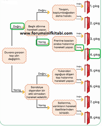 3.Sınıf Fen Bilimleri Meb yayınları Çalışma Kitabı Sayfa 37 Cevapları