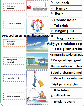 3.Sınıf Fen Bilimleri Meb yayınları Çalışma Kitabı Sayfa 41 Cevapları