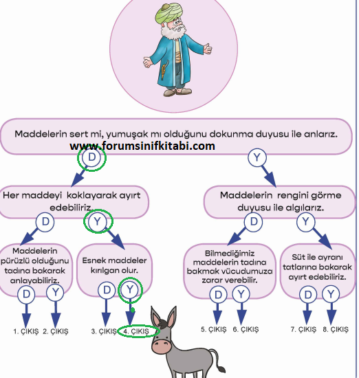 3.Sınıf Fen Bilimleri Meb yayınları Çalışma Kitabı Sayfa 51 Cevapları