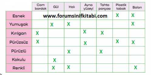 3.Sınıf Fen Bilimleri Meb yayınları Çalışma Kitabı Sayfa 52 Cevapları