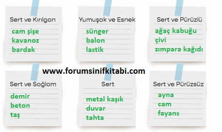 3.Sınıf Fen Bilimleri Meb yayınları Çalışma Kitabı Sayfa 53 Cevapları