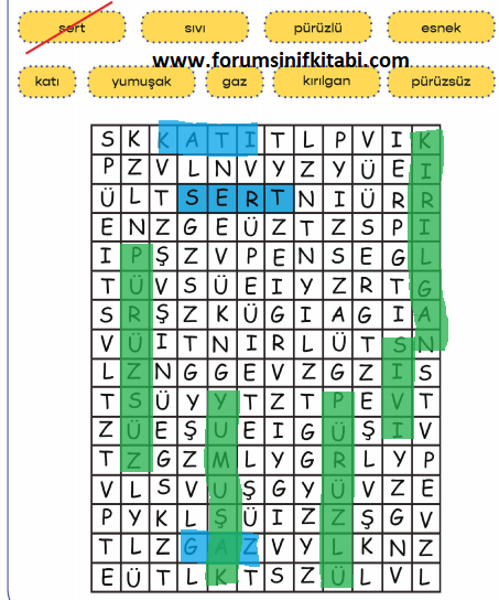 3.Sınıf Fen Bilimleri Meb yayınları Çalışma Kitabı Sayfa 61 Cevapları