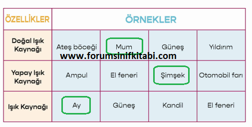 3.Sınıf Fen Bilimleri Meb yayınları Çalışma Kitabı Sayfa 73 Cevapları