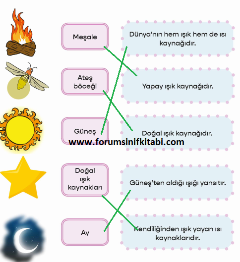 3.Sınıf Fen Bilimleri Meb yayınları Çalışma Kitabı Sayfa 74 Cevapları