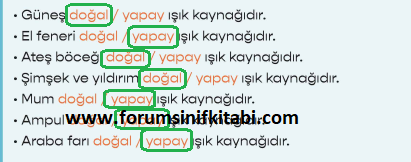 3.Sınıf Fen Bilimleri Meb yayınları Çalışma Kitabı Sayfa 77 Cevapları