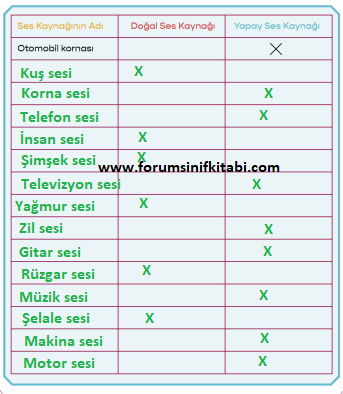 3.Sınıf Fen Bilimleri Meb yayınları Çalışma Kitabı Sayfa 81 Cevapları