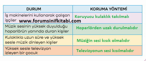 3.Sınıf Fen Bilimleri Meb yayınları Çalışma Kitabı Sayfa 85 Cevapları