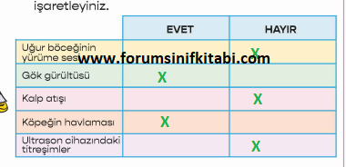 3.Sınıf Fen Bilimleri Meb yayınları Çalışma Kitabı Sayfa 86 Cevapları