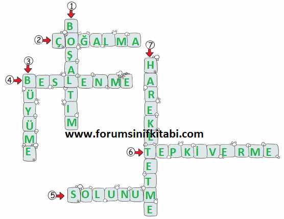 3.Sınıf Fen Bilimleri Meb yayınları Çalışma Kitabı Sayfa 96 Cevapları