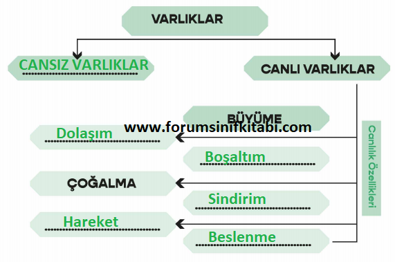 3.Sınıf Fen Bilimleri Meb yayınları Çalışma Kitabı Sayfa 97 Cevapları