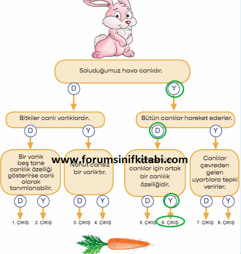 3.Sınıf Fen Bilimleri Meb yayınları Çalışma Kitabı Sayfa 98 Cevapları