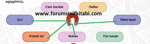 4.Sınıf Fen Bilimleri Meb yayınları Çalışma Kitabı Sayfa 58 Cevapları