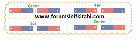 4.Sınıf Fen Bilimleri Meb yayınları Çalışma Kitabı Sayfa 58 Cevapları