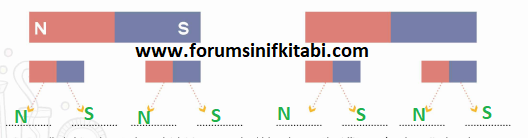 4.Sınıf Fen Bilimleri Meb yayınları Çalışma Kitabı Sayfa 59 Cevapları