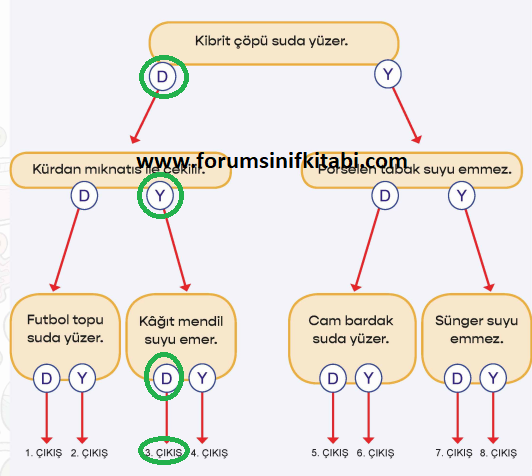 4.Sınıf Fen Bilimleri Meb yayınları Çalışma Kitabı Sayfa 71 Cevapları