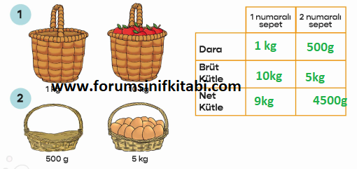 4.Sınıf Fen Bilimleri Meb yayınları Çalışma Kitabı Sayfa 75 Cevapları