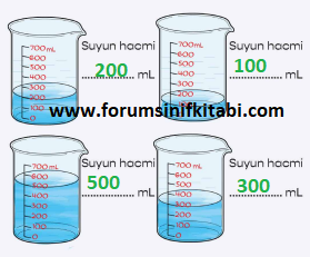 4.Sınıf Fen Bilimleri Meb yayınları Çalışma Kitabı Sayfa 80 Cevapları