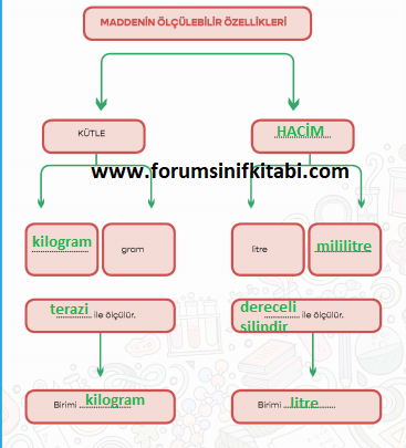 4.Sınıf Fen Bilimleri Meb yayınları Çalışma Kitabı Sayfa 82 Cevapları