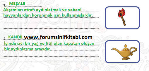 4.Sınıf Fen Bilimleri Meb yayınları Çalışma Kitabı Sayfa 95 Cevapları