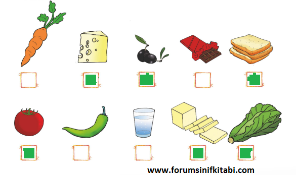 1.Sınıf Hayat Bilgisi Meb yayınları Çalışma Kitabı Sayfa 56 Cevapları