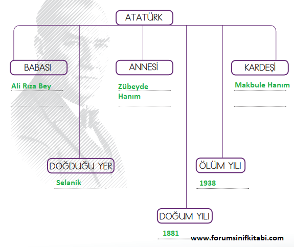 2.Sınıf Hayat Bilgisi Meb yayınları Çalışma Kitabı Sayfa 113 Cevapları