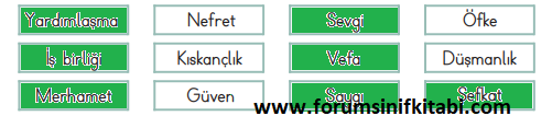 2.Sınıf Hayat Bilgisi Meb yayınları Çalışma Kitabı Sayfa 41 Cevapları