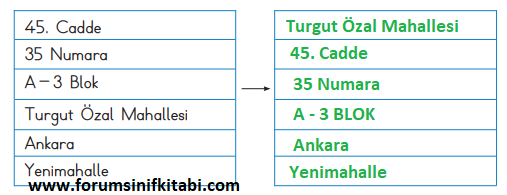 2.Sınıf Hayat Bilgisi Meb yayınları Çalışma Kitabı Sayfa 43 Cevapları