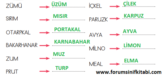 2.Sınıf Hayat Bilgisi Meb yayınları Çalışma Kitabı Sayfa 77 Cevapları