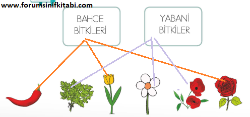 1.Sınıf Hayat Bilgisi Meb yayınları Çalışma Kitabı Sayfa 110 Cevapları