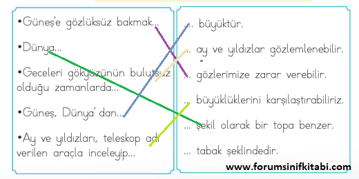 1.Sınıf Hayat Bilgisi Meb yayınları Çalışma Kitabı Sayfa 117 Cevapları