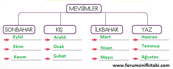 1.Sınıf Hayat Bilgisi Meb yayınları Çalışma Kitabı Sayfa 122 Cevapları